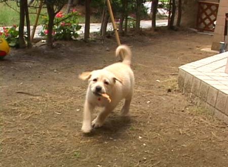 1380944167-149413936