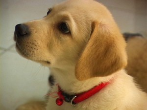 1380944167-2742205661