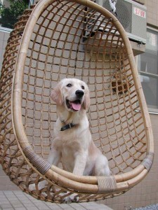 1380944168-277462190