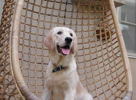 1380944168-277462190