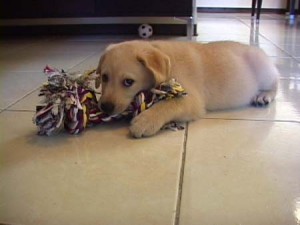 1380944168-498915077