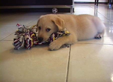 1380944168-498915077