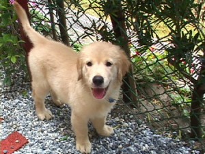 1380944169-2565806387