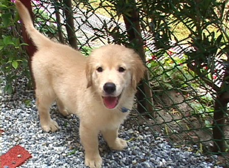 1380944169-2565806387