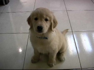 1380944169-3365321869