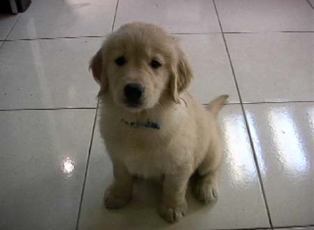 1380944169-3365321869