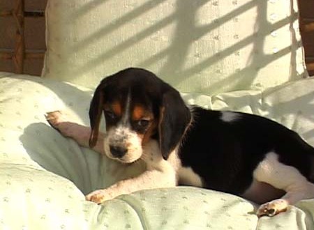 1380944170-3354346915