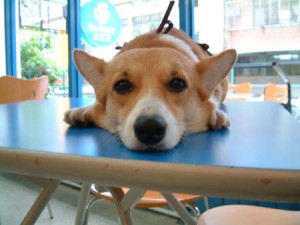 1380944170-594808399