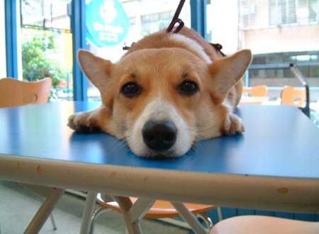 1380944170-594808399