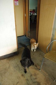 1380944171-1984460198