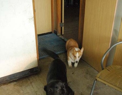 1380944171-1984460198