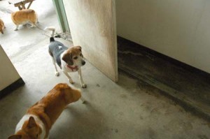 1380944172-3613061209