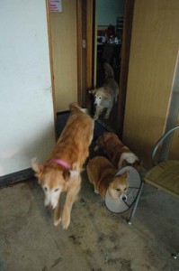 1380944172-4237557930