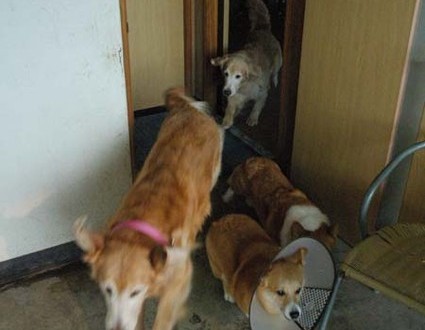 1380944172-4237557930