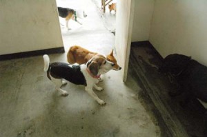 1380944173-2002433713