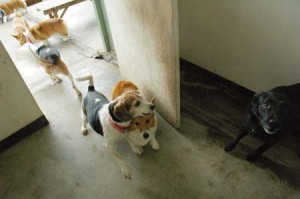 1380944173-3209864794