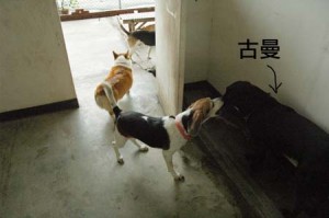 1380944174-2297004800