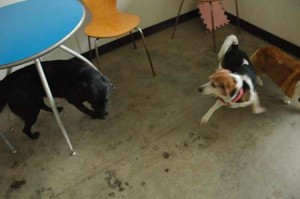 1380944174-3160511348