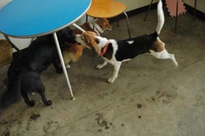 1380944174-3451921780