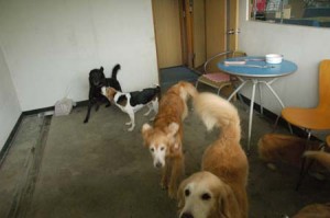 1380944175-3659186787