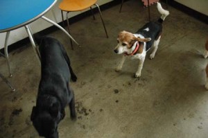 1380944175-527042319