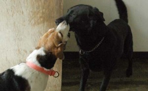 1380944176-1650440138