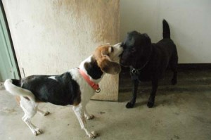 1380944177-2136807684