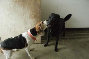 1380944177-2625692311