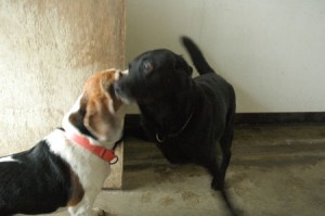 1380944177-3025157369