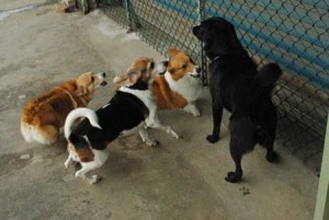 1380944178-3375607050