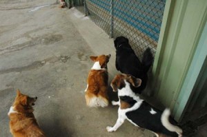 1380944178-340687778