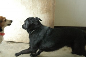 1380944178-531087068