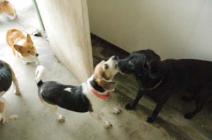 1380944179-2325715878