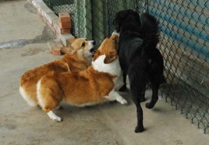 1380944179-3877367431