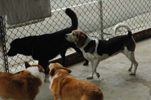 1380944179-705743121