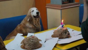 1380944182-1429747525