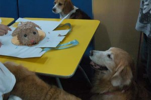 1380944182-2828975230