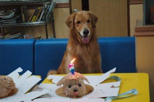 1380944183-3192199044