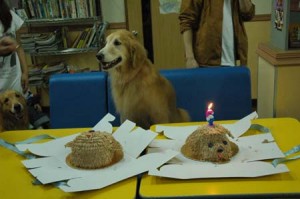 1380944183-4041615725