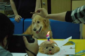 1380944184-1960332929