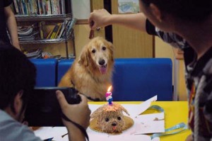 1380944184-2418808729