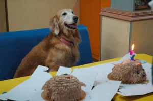 1380944185-2980341738