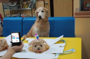 1380944185-3768444478