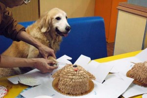 1380944185-392658687