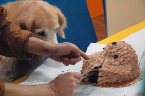 1380944186-2123406060