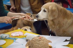 1380944187-2486146763