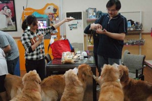 1380944188-2786032248