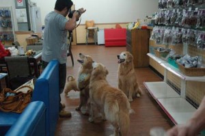 1380944188-3644265492