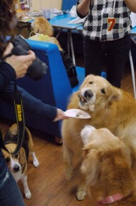 1380944189-2652814320