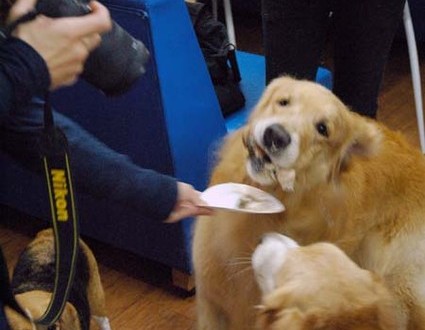 1380944189-2652814320